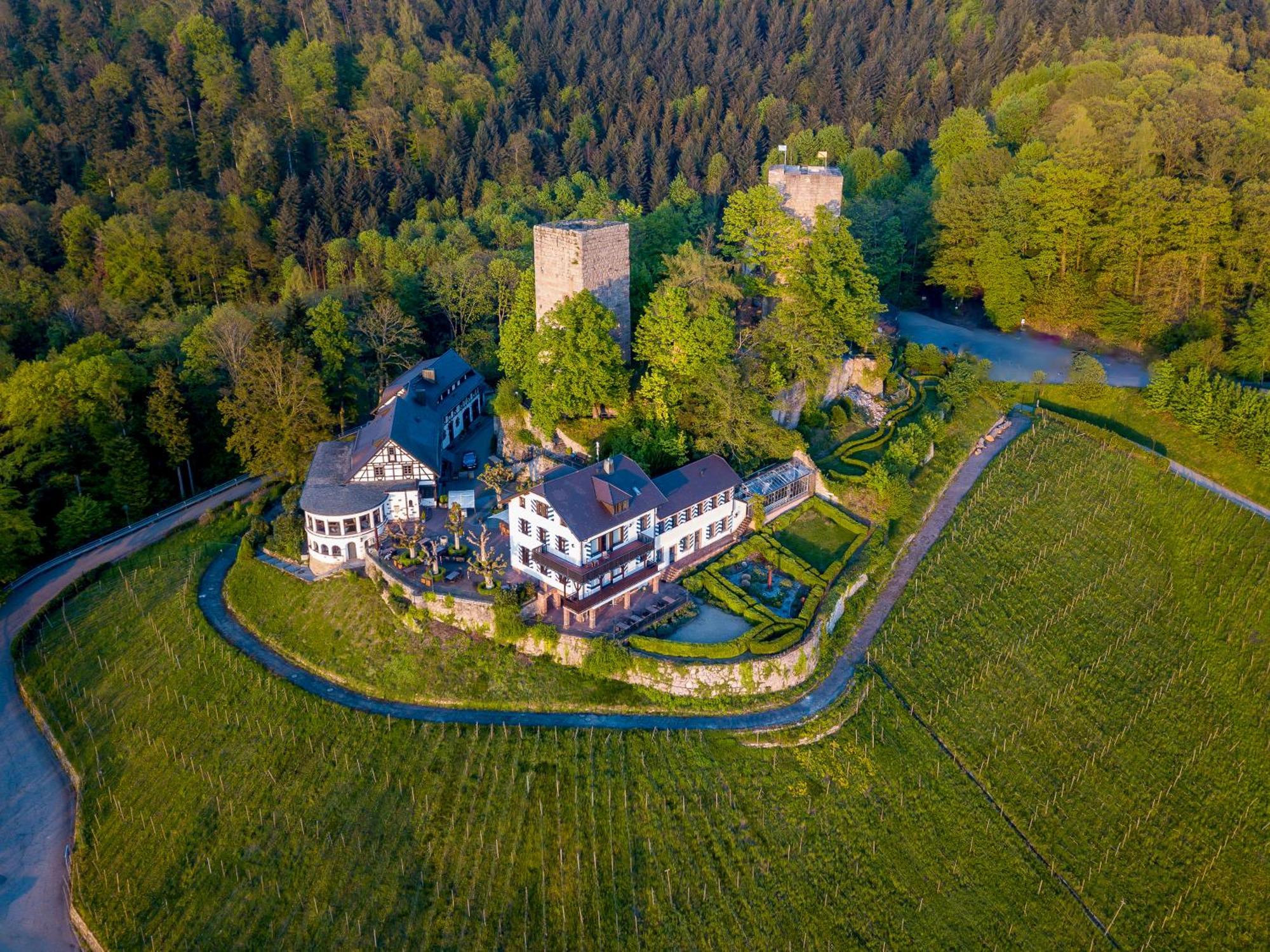 Burg Windeck ***S Hotel Buehl  Ngoại thất bức ảnh